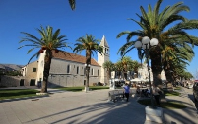 Trogir - Maslinica